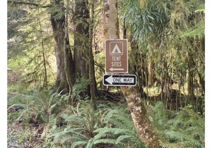 Primitive Tent Site in Enchanted Rain Forest - Site #1