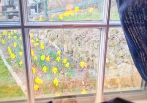 Private Beach Cottage in Historic Sconset!