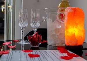 Private Hot Tub, Sauna, Ice Bath & Gym & Apartment