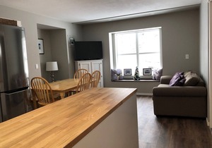 Private suite with semi-private hot tub, and BBQ - pet friendly too!