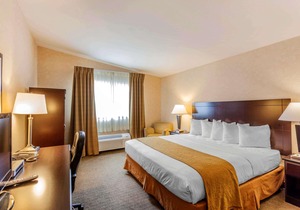 Quality Inn Arlington