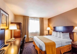 Quality Inn Arlington