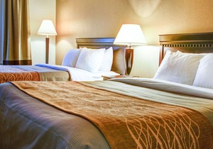 Quality Inn Florence Florence