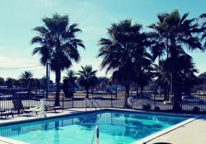 Quality Inn & Suites Leesburg Chain of Lakes