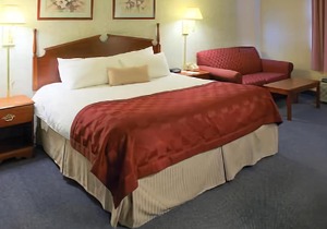 Ramada by Wyndham Angola/Fremont Area