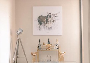 Raphael penthouse 205