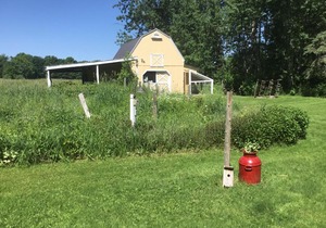 Red Fox Run B&B