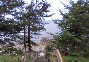 Reed Shore Cottage - Spectacular waterfront views