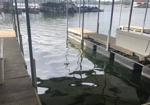 Regatta Bay Walk-in Unit! Sleeps 8, 3BD/3BA. Main channel view MM12. w/dock