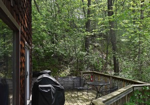 Relax and watch all the different wildlife pass by as you put life on pause