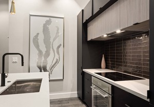 Remodeled Aspen Gem! 1 Block to Aspen Mtn, Balcony with Views, Wood FP, W/D, Parking & Walk to Town