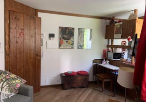 renovated studio ski in ski out, CIR 0282