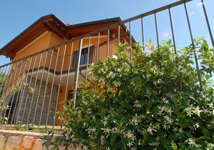 Residence Garden: Three-room apartment with balcony and lake view