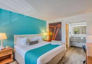 Rodeway Inn Port Richey North