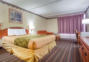 Rodeway Inn Stone Mountain