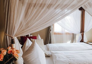 Romantic Manor Positz - Romantic Room