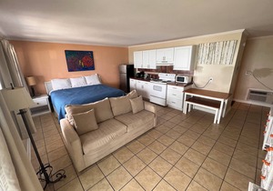 Room #302 Efficiency King w/Kitchen Dog Y