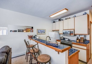 Rose's Kirkwood Hideout upgraded 1 bdrm 202