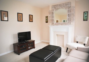 Russian Hill Contemporary 3/1 Apartment, Safe and Great Location