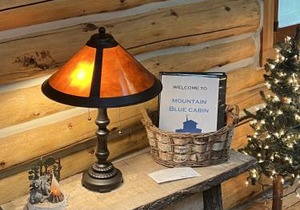 Rustic and Luxurious Retreat With Private Dock, Yard, Fire Pit! cabin