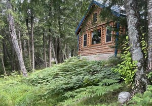 Rustic and Luxurious Retreat With Private Dock, Yard, Fire Pit! cabin