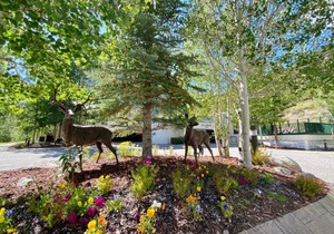 Saints John 2526 by SummitCove Lodging