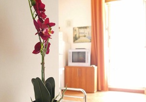 Salomone Apartment 5 by Wonderful Italy