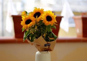 San Gregorio Apartment