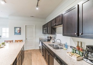 Sanmarcos 3BR PL in San Marcos