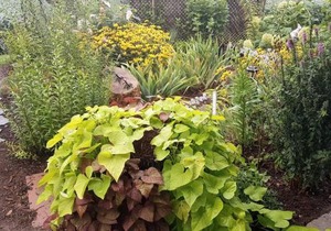 Sarnia Secret - BIG, Private 3 BR/2 BA APT by HWY