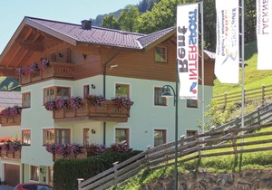 schoene Ferienwohnung/Grossarl