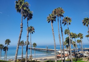 Sea Horse Resort
