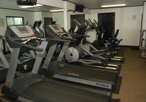 Seaside Camping Resort Studio Cabin 4