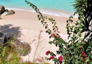 Secret Cove 1 | Beach Front - Located in Stunning Saint James with Private Chef Services