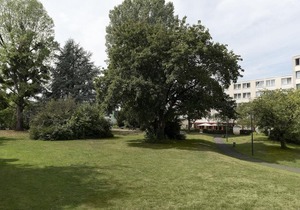 Seminaris Hotel Bad Honnef