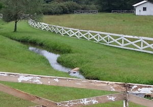 Serenity on The Blue Ridge Parkway