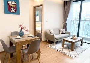 Serviced Apartment in Metropolis near Lotte and Daewoo Hanoi