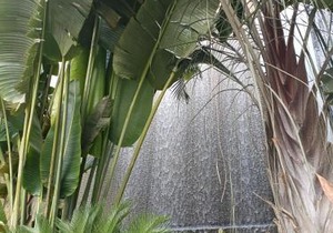 Sheraton Ocean 202 - Without Pool access