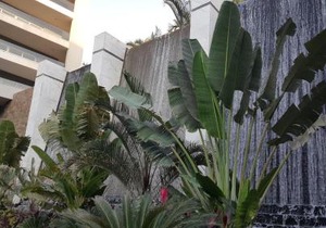Sheraton Ocean 401 - No Pool Access