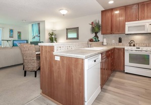 Shorebirds 121 - Full Ocean View Condo - Sleeps 2, Second Floor Condo