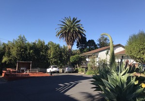 Siesta Motel Auckland