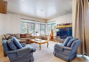 Silver Bear 18 Condo