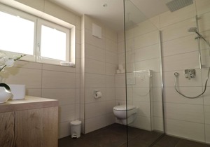 Single room half board - Hotel Bräu***