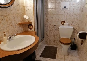 Single room with shower, WC - Hotel garni Landhaus Bürtlmair *