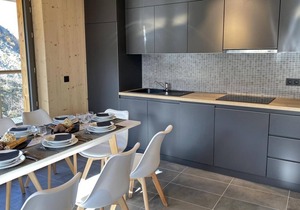 Ski-in/ski-out & foot of the slopes, fitness, terrace, parking, tv, 45m², Piau Engaly