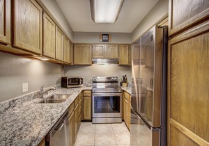 Ski in-Steps to the Gondola - Dtown location - Hot Tub and WiFi