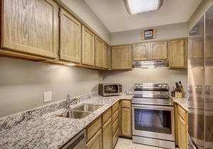 Ski in-Steps to the Gondola - Dtown location - Hot Tub and WiFi