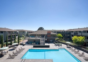 Sleek Foster City 1BR w/Gym, Pool, W/D, near highways, by Blueground