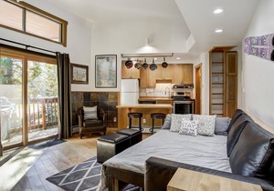 Slope Side Lodge Apt. Surrounded by Nature Steps to the Bus - Fast WiFi