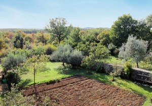 Smilja with 1 bedrooms and 1.5 bathrooms